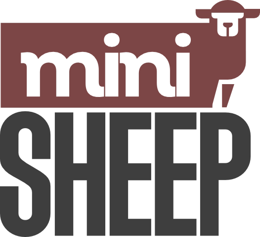Mini Sheep For Sale Victoria